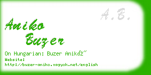 aniko buzer business card